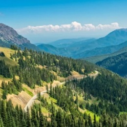 Need to get away? Here are some great Washington getaways for the long weekend. https://bit.ly/39SlhsU #memorialdayweekend #fridayfeeling #weekendmode #holidaytravel Instagram post from @parkon20th on May 27, 2022 14:48:21pm